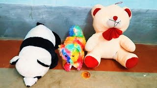Teddy Bear Dog Bear Kids Video