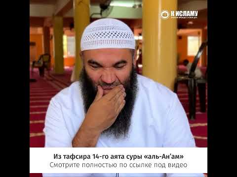 Стадный инстинкт и воспитание детей #shorts Ринат Абу Мухаммад