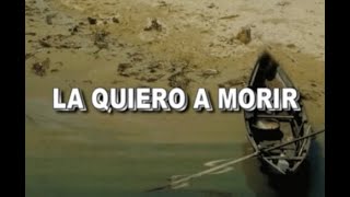 La Quiero A Morir - Galileo Y Su Banda Al Estilo De Sergio Vargas - Karaoke