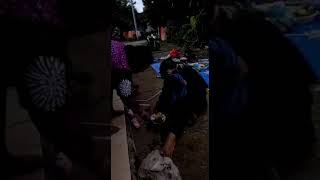 Download Lagu Babe Suro lagi nyamar jadi pegamen... MP3