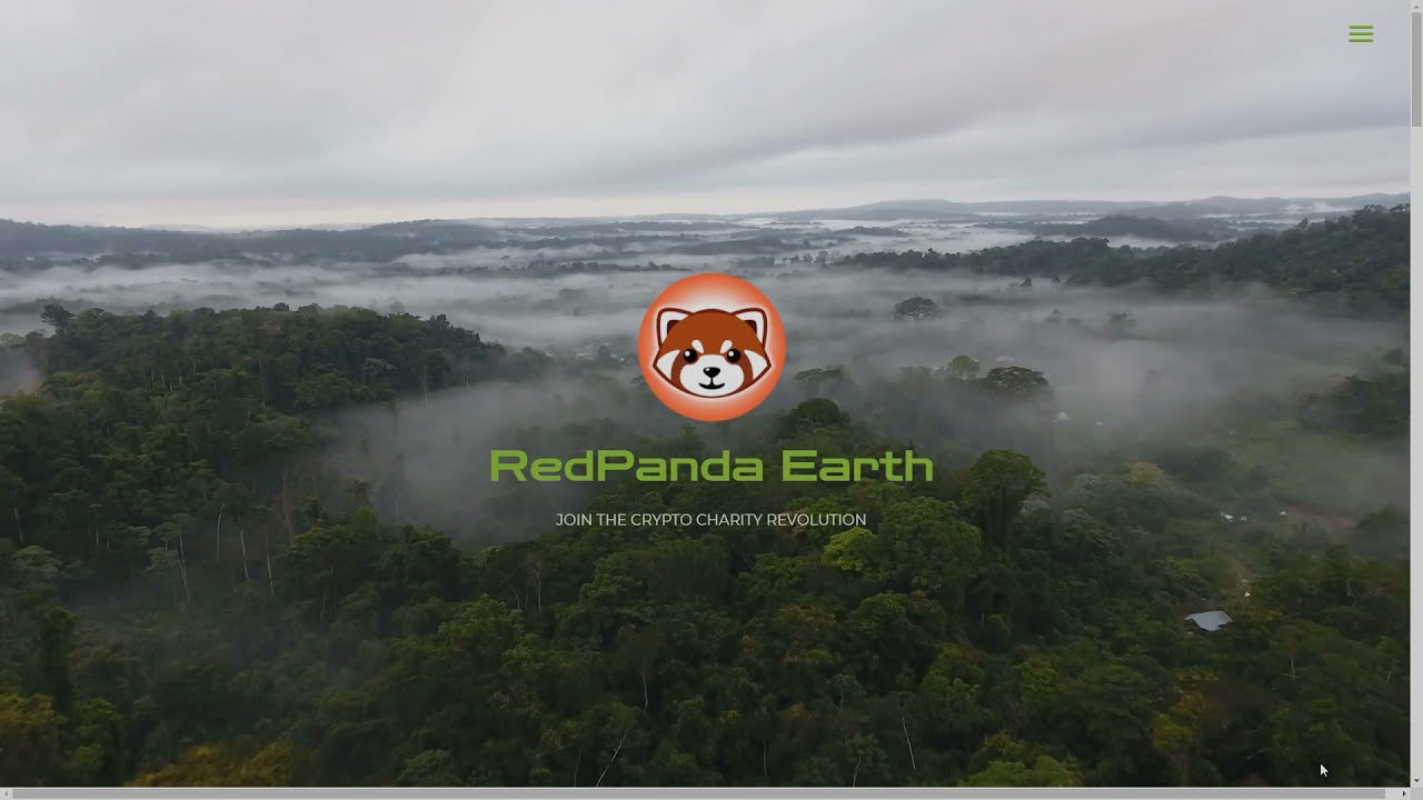 Token Red Panda |  Coin with an animal charity