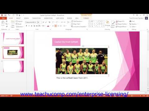Microsoft Office PowerPoint Tutorial Using Text 4.2 Employee Group Training