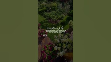 اجمل تلاوة بصوت القارئ اليمني: سعيد عشال #السعودية #اكسبلور #moroc #غزة #explore #moroco #اليمن
