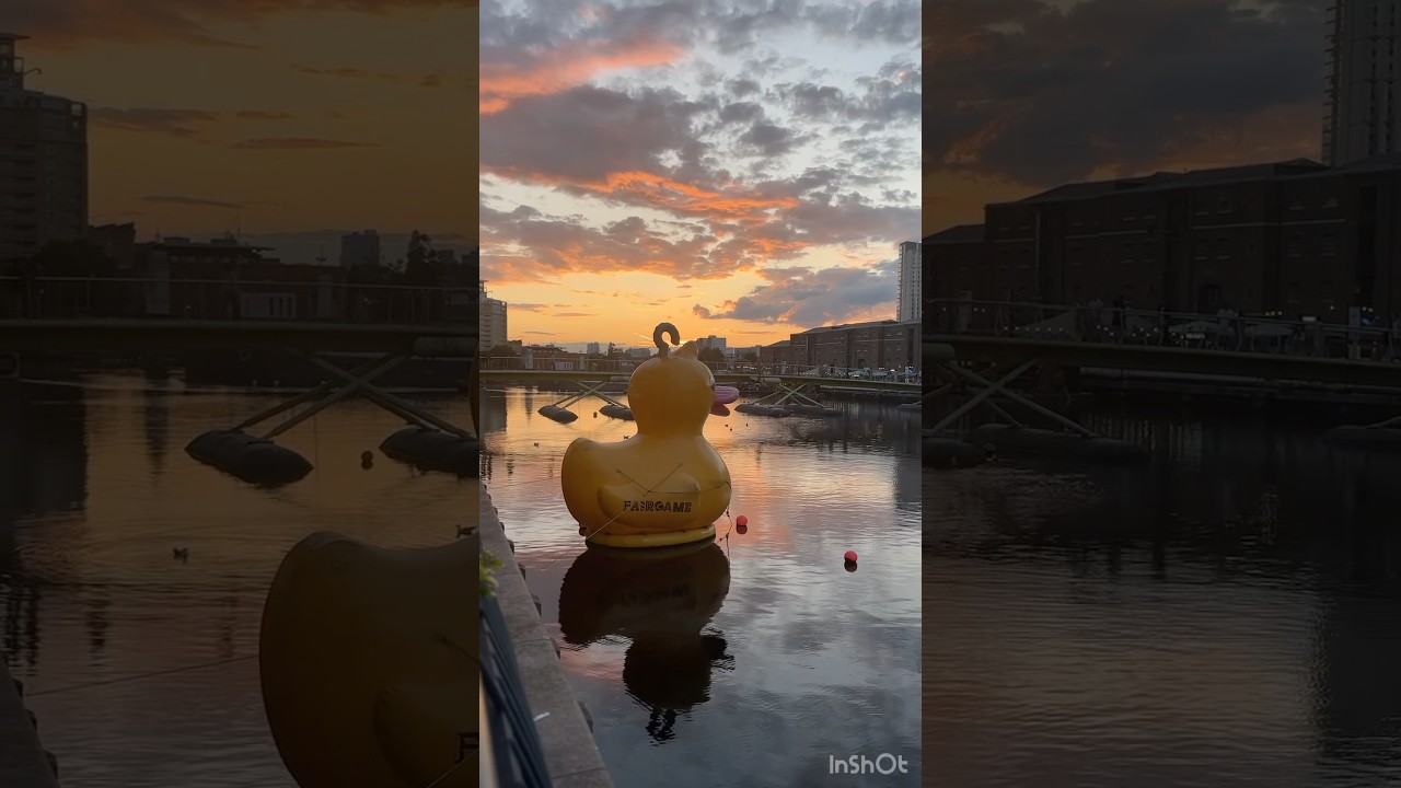 28е июля Вечерняя прогулка🌆