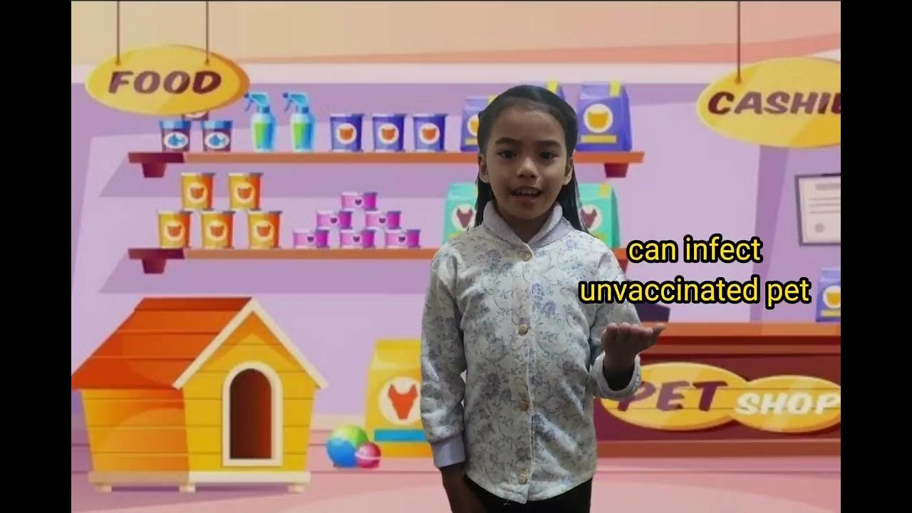 Proper Way of Handling Animals YouTube