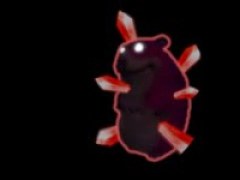 HOW TO GET RUBY CHOMIK IN FIND THE CHOMIKS ROBLOX GAME - YouTube