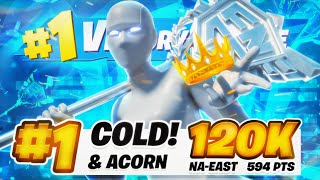 🏆1ST PLACE IN FNCS GRAND FINALS ($120,000) 🏆 | Cold