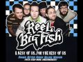 Reel Big Fish - I'm cool (Skacoustic)