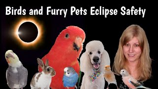 Solar Eclipse and Pet Safety: Keeping Birds and Furry Pets Safe During This Spectacular Phenonium by Love of Pets 777 views 1 month ago 6 minutes, 41 seconds