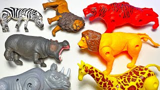 8 Transforming Animals - Lion, Tiger, Elephant, Jaguar, Elephant, Rhino, Bear, Zebra, Giraffe