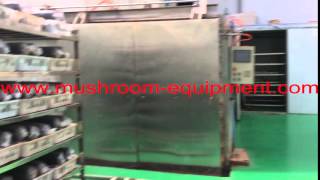 Edible fungus mushroom cultivation production line