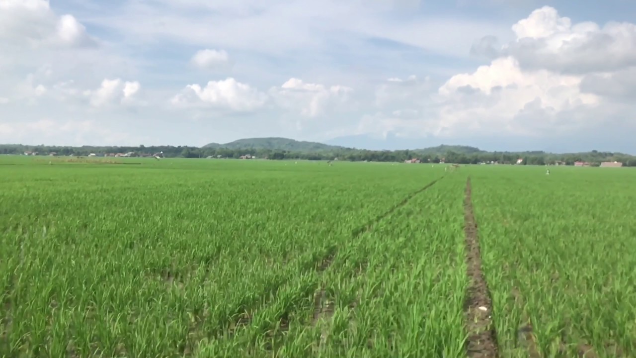 indeframe road to jogja