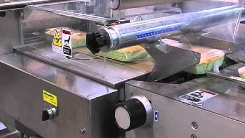 Delfin infeeding system for flow wrapping biscuits full packaging machine