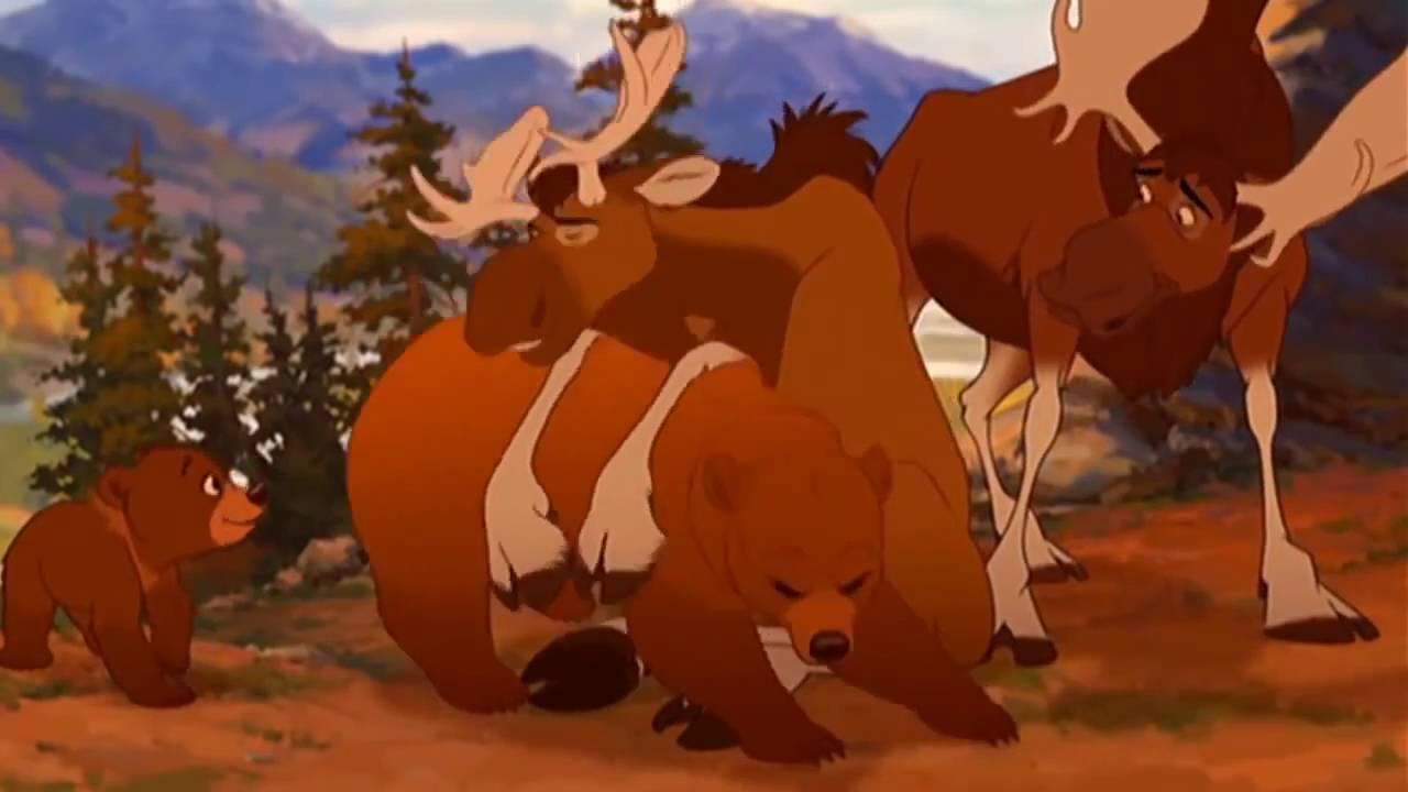 Tierra de Osos En marcha estoy phil collins COVER - YouTube
