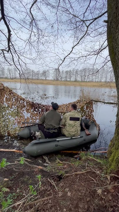 Охота с подсадной уткой #охотаирыбалка #калининградскаяобласть #duck # ...