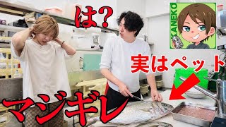 【ガチ】きまぐれクックが捌いた魚、実は育てたペットだったらどうする？【うお一番】【ガチドッキリ】