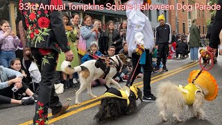 33rd Annual Tompkins Square Halloween Dog Parade highlights2