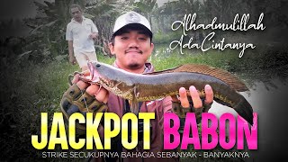 Rekor Mancing Ikan Gabus dapet Jackpot Gabus Babon Jejak Hore P-Men Lure