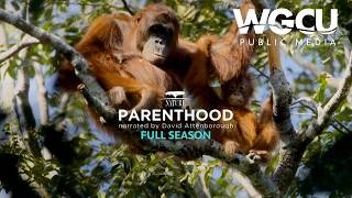 April 2026  New This Month  Pbs Passport