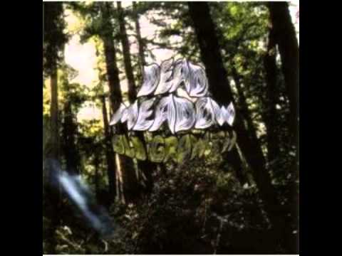 Dead Meadow — DEAD MEADOW - Ain't Nothing to Go Wrong - Old Growth