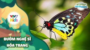 Thế giới kỳ diệu của Bool Bool - Mùa 1 - Số 09 | BƯỚM NGHỆ SĨ HÓA TRANG | VTV7
