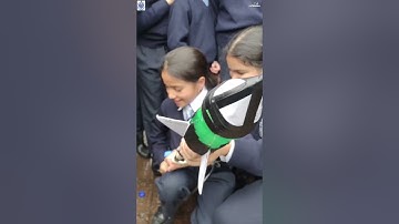 Can A Hydro-Rocket Launch Your Space Dreams?