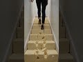 Would You Walk Up Through Butter?