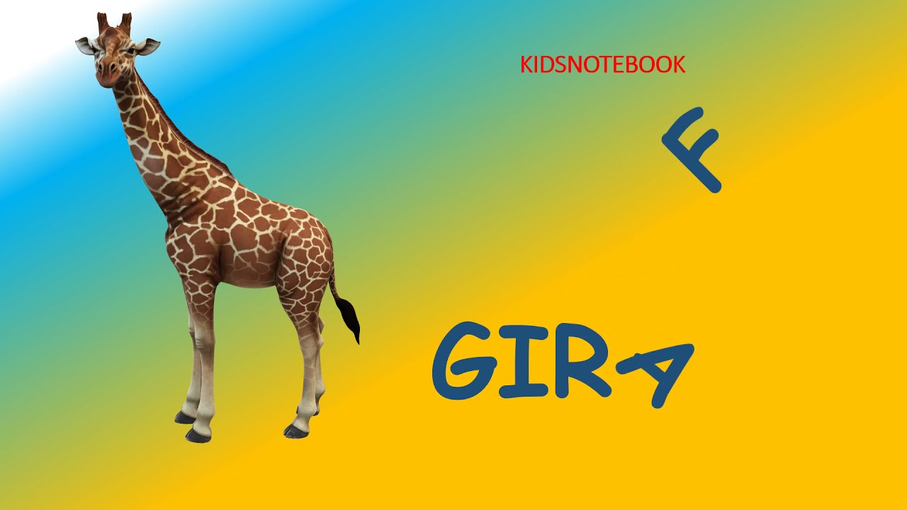 ANIMALS NAME - ANIMALS 