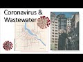 Can Covid-19 be transmitted through water? I Coronavirus & Wastewater