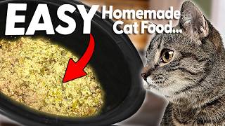How to Make: The EASIEST Cat Food Recipe in UNDER 5 MINUTES (Turkey)