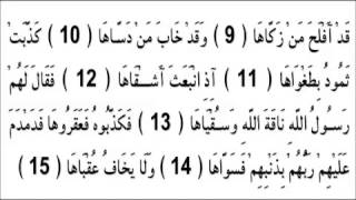 القارئ الزين محمد أحمد سورة الشمس