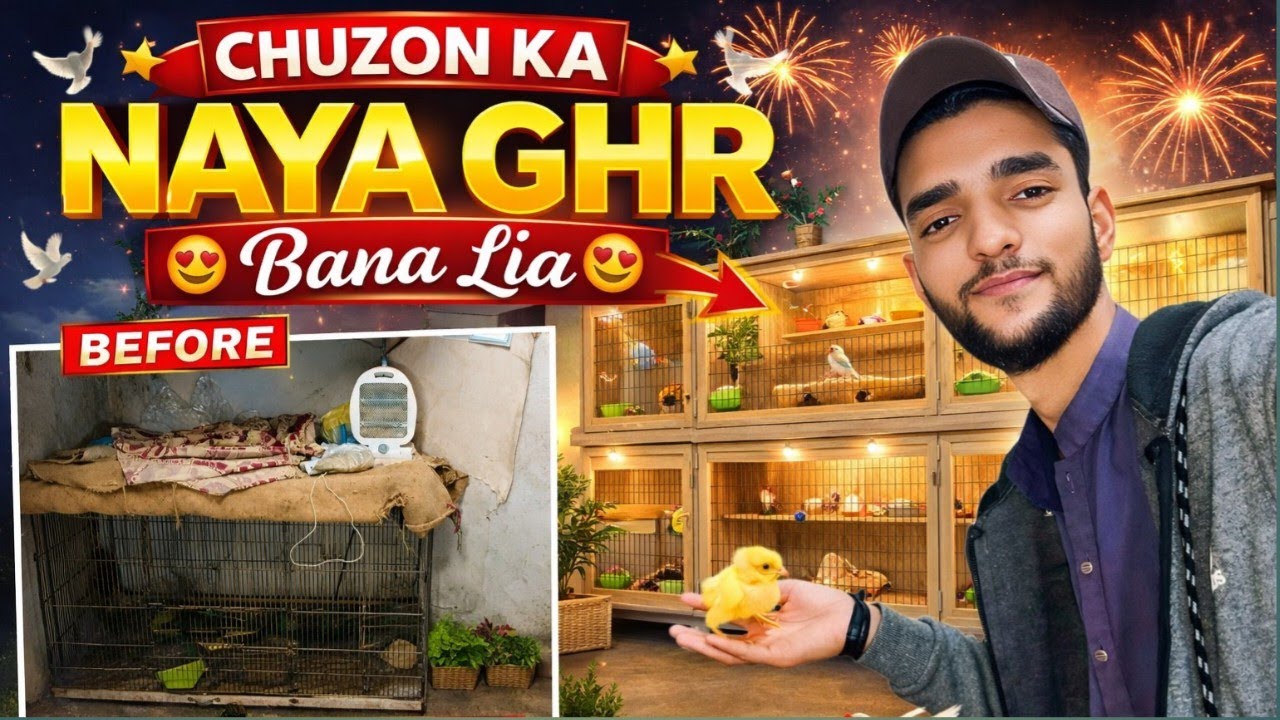Chuzon Ka Naya Ghr Bana Lia