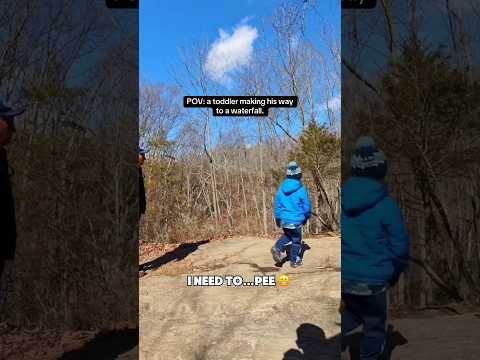 Big Tep Big Tep Pov Toddler Faniky Hiking Happy Cute Shorts Shortsvideo 