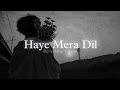 Haye Mera Dil X Bewafa 💔😥 || Female Version || Lofi Song || (slowed & reverb) || Audio track lyrics