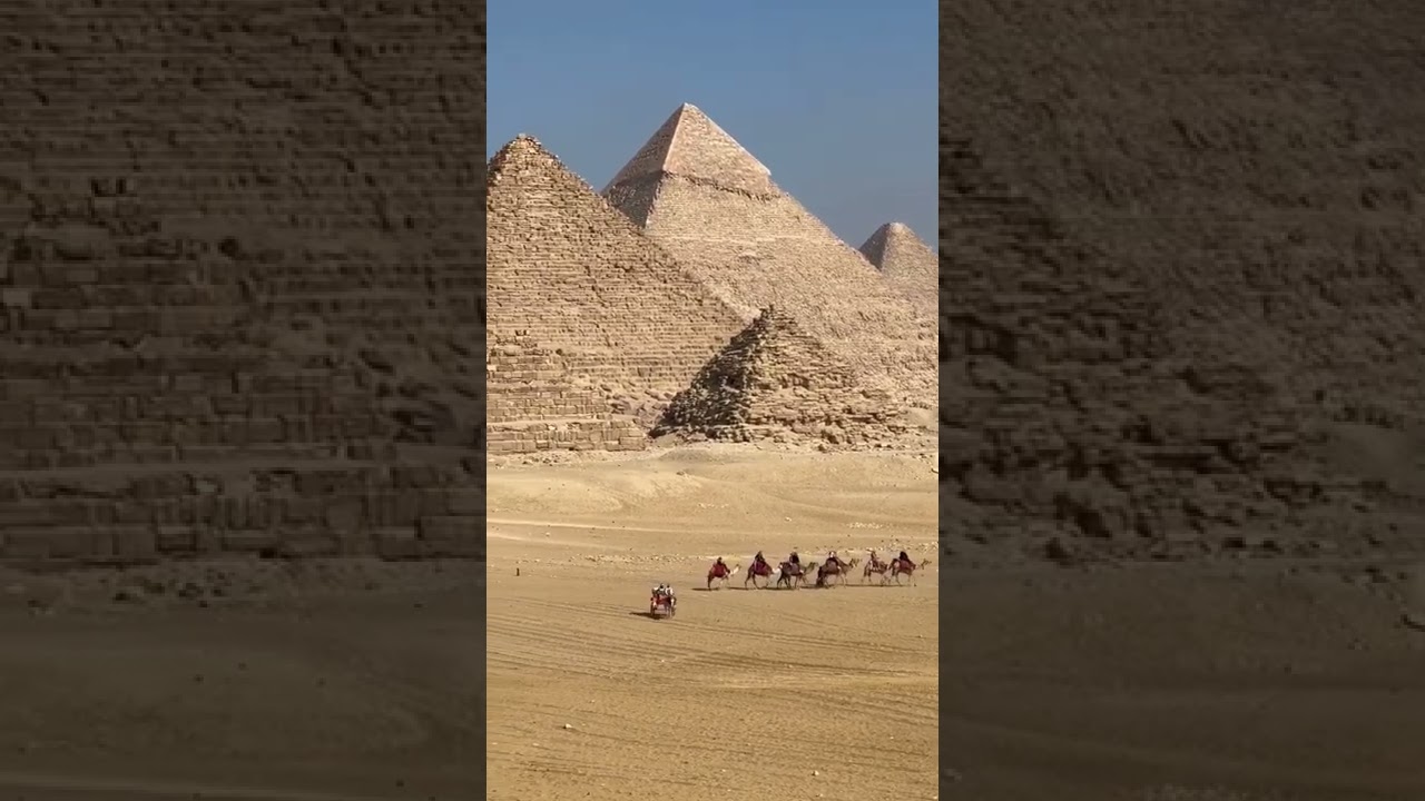 pyramids trip with the camel 🐪