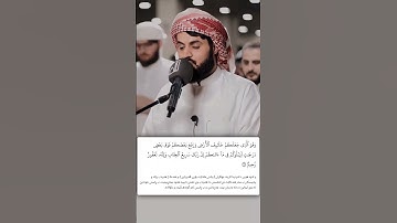 شيخ رعد الكردي حالات واتس اب | سورة (الأنعام: ١٦٥)