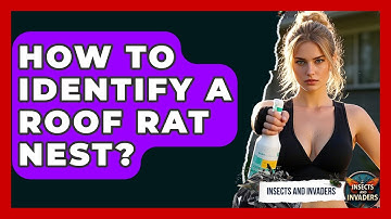 How To Identify A Roof Rat Nest? - Insects and Invaders
