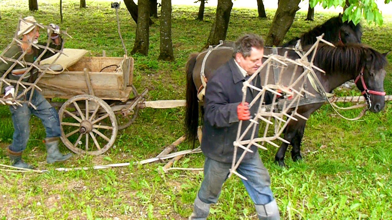 KONIE OGRODOWE BRONA ODWRÓCONA