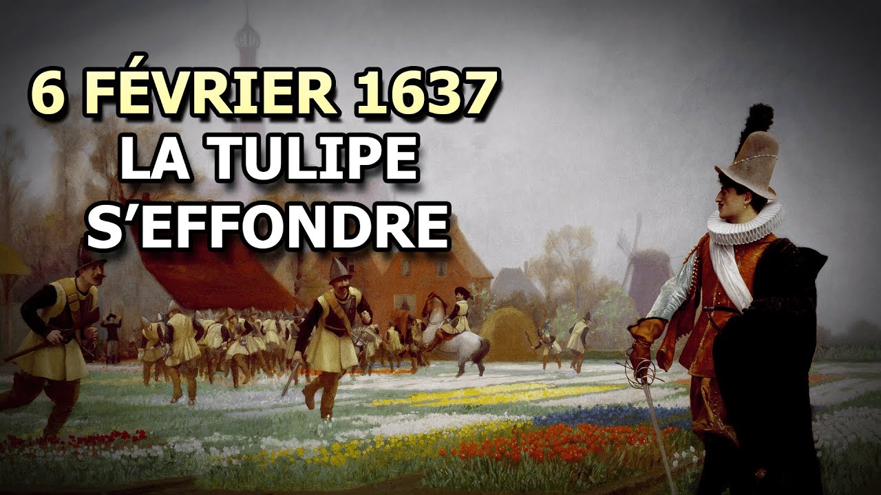 La Tulipomanie, ou la Crise de la Tulipe - 6 février 1637 | AJDH