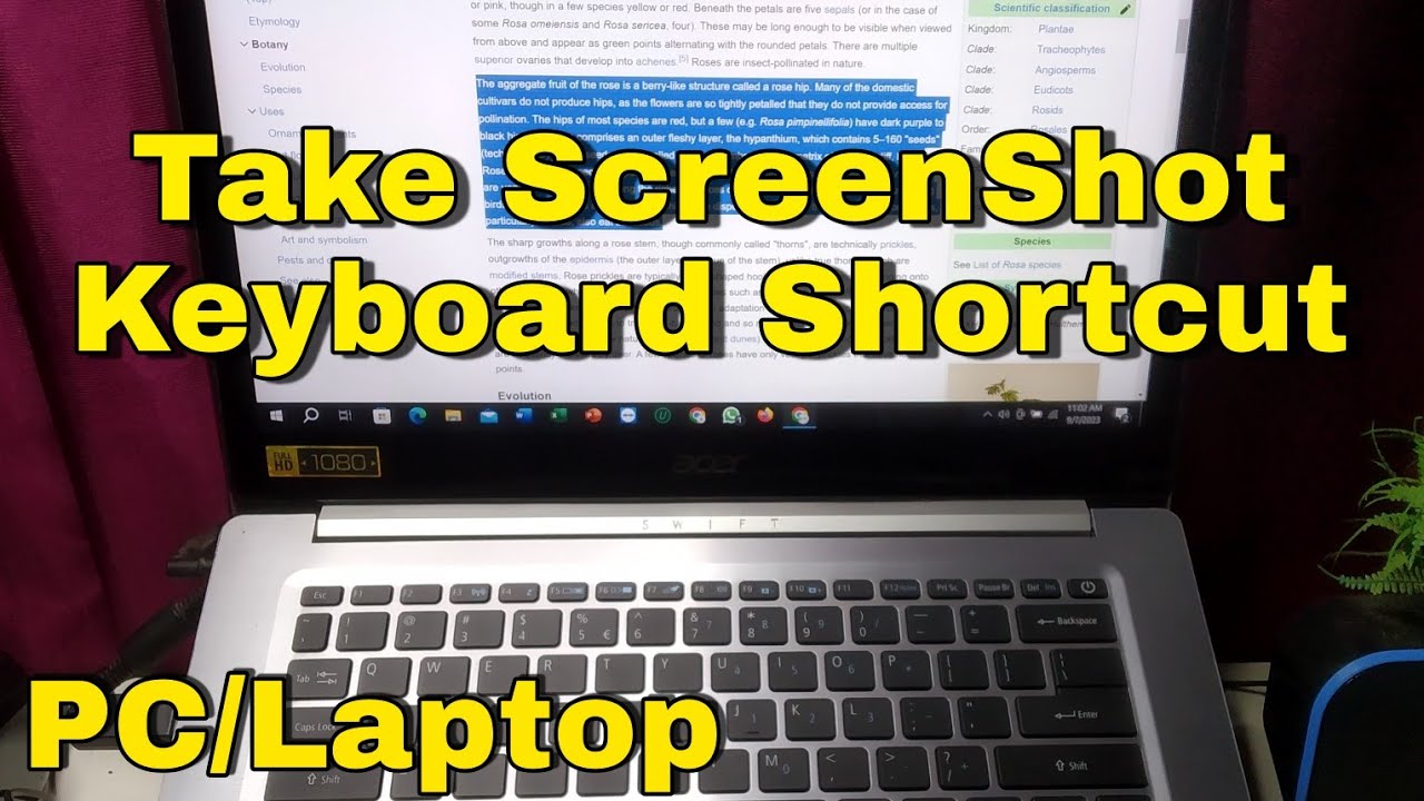 how-to-take-a-screenshot-on-windows-10-using-keyboard-shortcut-youtube