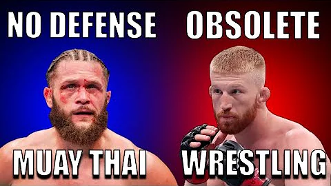 The Problem With Every Martial Art in MMA