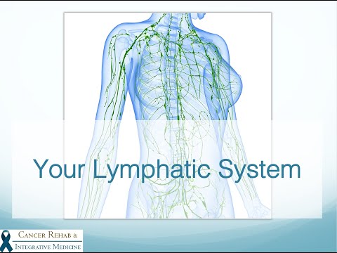 Video 1: Lymphatic