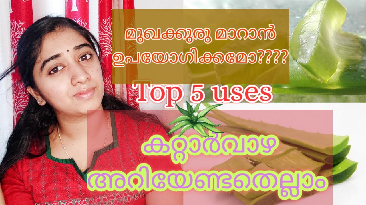 💚How To Use Aloe Vera Gel For Face Top 5 Ways To Use Aloe Vera Gel