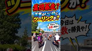 暴走族？それとも休日ツーリング？#集団暴走 #暴走族 #バイク集団