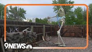 Arvada homeowners want to know who decapitated their 12-foot-tall skeleton