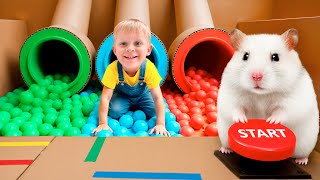Hamster Labirenti Oyunu Çocukların Kaçış Serüveni