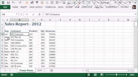 CFO Learning Pro - Excel Edition "How to see headings and row labels" - Issue 80