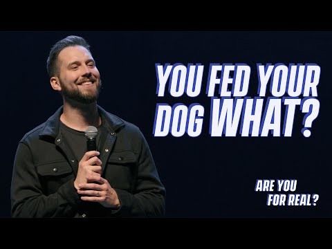 Every "Dog Mom" Ever