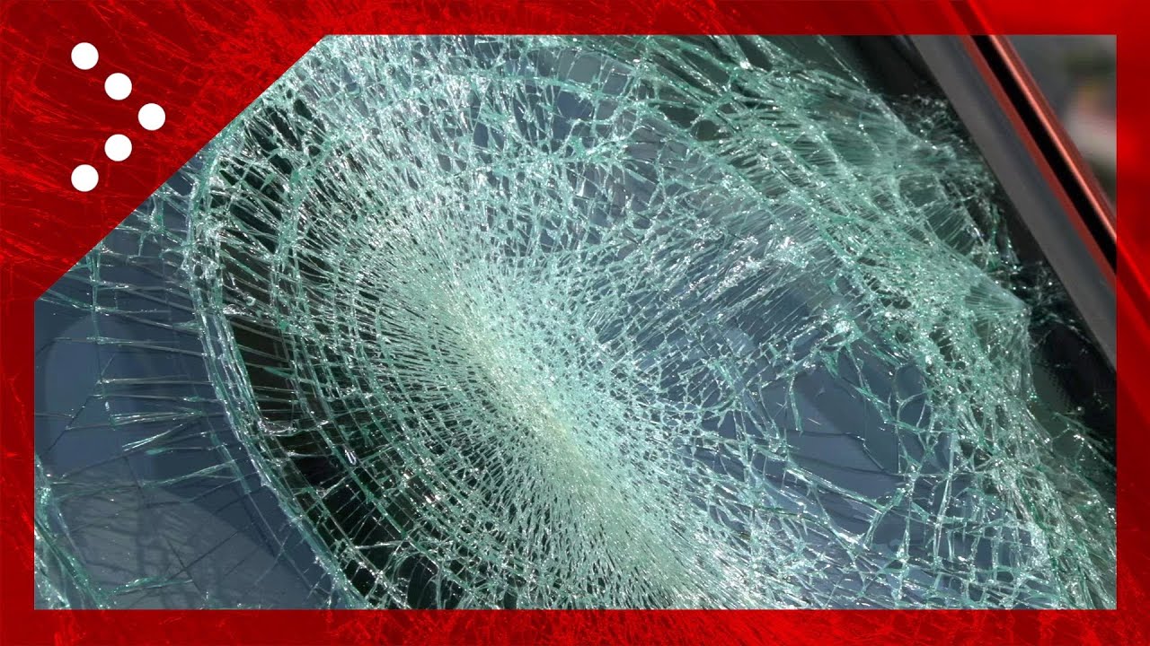 Maltempo in Lombardia, alberi abbattuti e auto danneggiate in un condominio a Gorgonzola (MI)