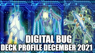 yugioh digital bug deck DIGITAL BUG DECK 2025 - Yu-Gi-Oh! Dueling Nexus